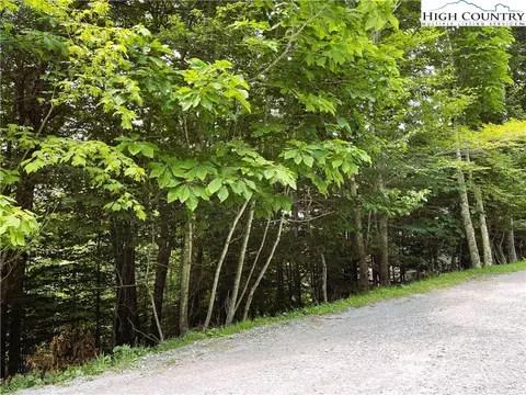 116 Aster Trl, Beech Mountain, NC 28604 photo 7