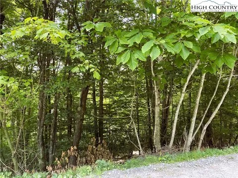 116 Aster Trl, Beech Mountain, NC 28604 photo 5