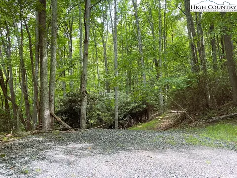 107 Maplewood Ln, Beech Mountain, NC 28604