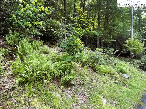 523 Pinnacle Ridge Rd, Beech Mountain, NC 28604