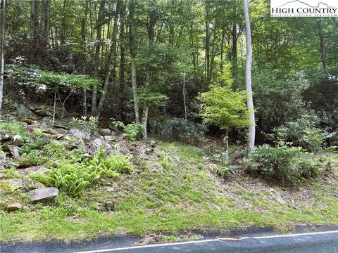 523 Pinnacle Ridge Rd, Beech Mountain, NC 28604 photo 2
