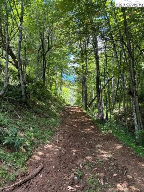 tbd Coy Ham Rd, Lansing, NC 28643 photo 30