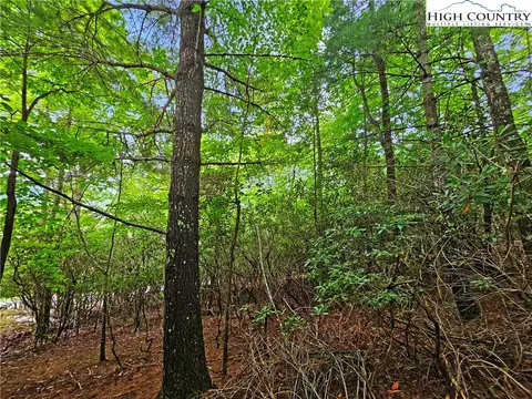 192 Rhododendron Dr, Beech Mountain, NC 28604 photo 3