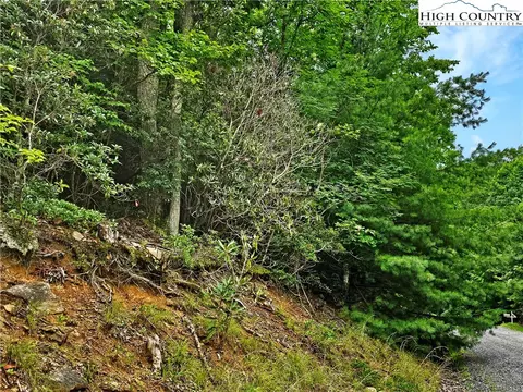 192 Rhododendron Dr, Beech Mountain, NC 28604 photo 8