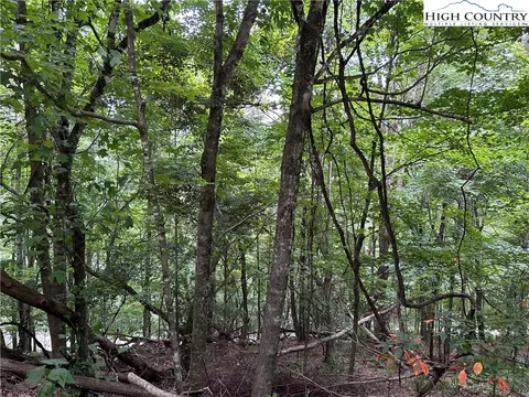 lot32 Alpine Dr, Seven Devils, NC 28604 photo 5