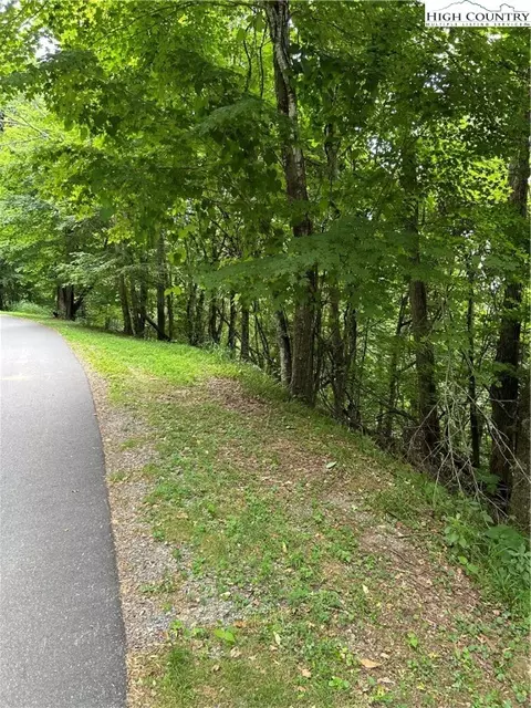 lot32 Alpine Dr, Seven Devils, NC 28604 photo 10