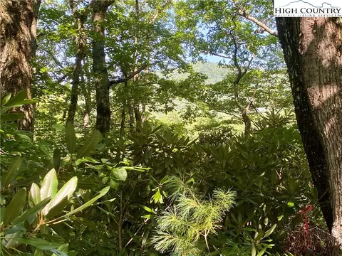 lot119 Timber Creek Dr, Blowing Rock, NC 28605