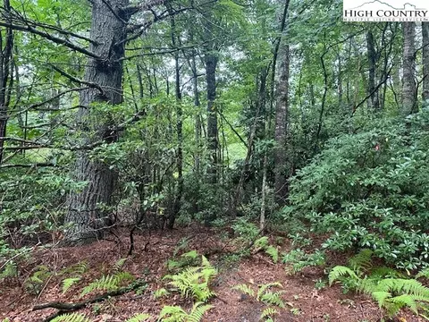 Lot 105 Meadow Lane Or Green Leaf Drive, West Jefferson, NC 28694