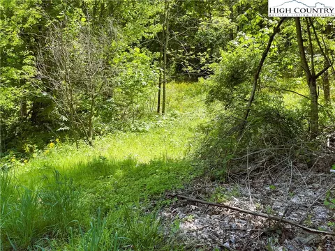 Tbd Hwy-321, Sugar Grove, NC 28622