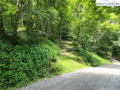 102 Maple Ln, Beech Mountain, NC 28604