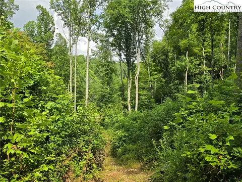 tbd Parker Rd, Creston, NC 28615 photo 20