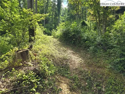 tbd Parker Rd, Creston, NC 28615 photo 16