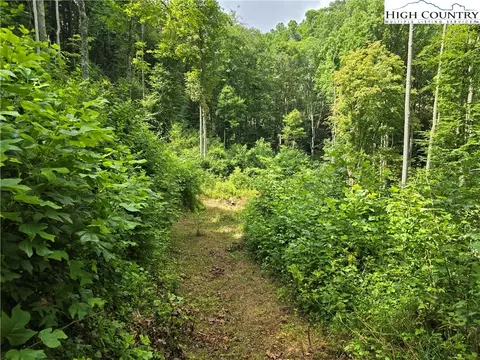 tbd Parker Rd, Creston, NC 28615 photo 17