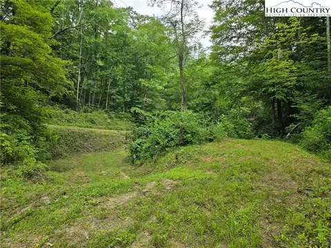 tbd Parker Rd, Creston, NC 28615 photo 15
