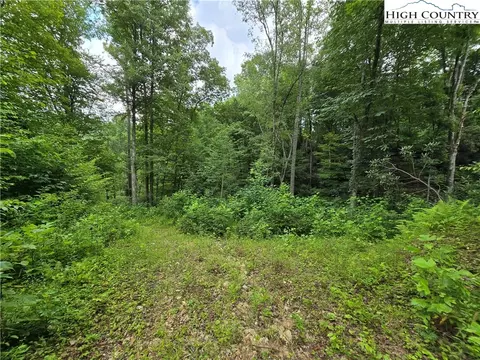 tbd Parker Rd, Creston, NC 28615 photo 21