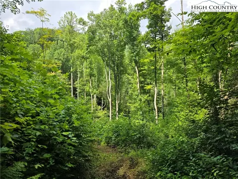 tbd Parker Rd, Creston, NC 28615 photo 18