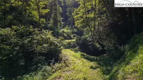 tbd Parker Rd, Creston, NC 28615 photo 9