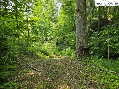 tbd Parker Rd, Creston, NC 28615 photo 19