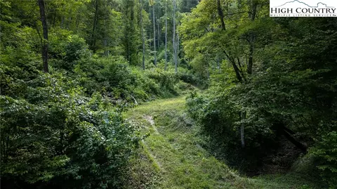 tbd Parker Rd, Creston, NC 28615 photo 10
