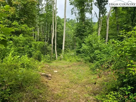 tbd Parker Rd, Creston, NC 28615 photo 25