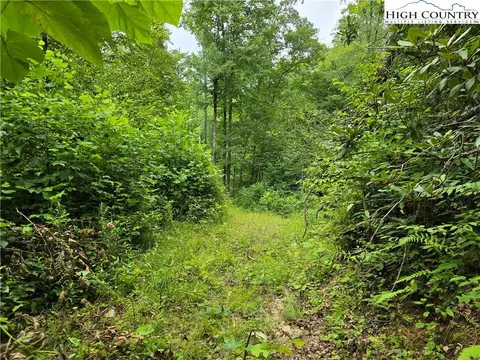 tbd Parker Rd, Creston, NC 28615 photo 24
