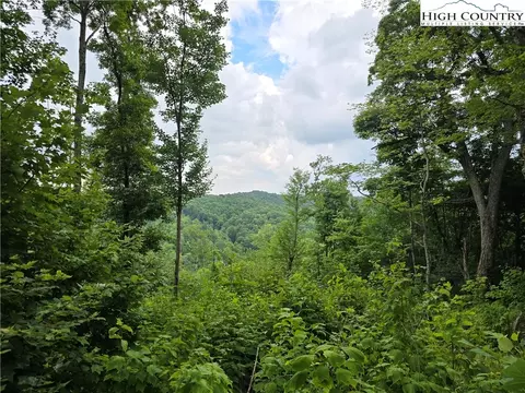 tbd Parker Rd, Creston, NC 28615 photo 22