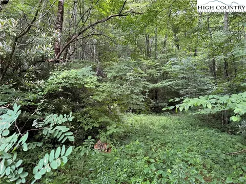 tbd S Bald Fork Rd, Todd, NC 28684 photo 3