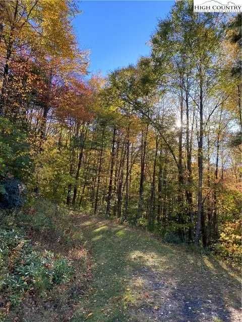 tbd S Bald Fork Rd, Todd, NC 28684 photo 7