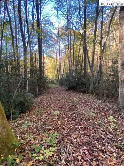 tbd S Bald Fork Rd, Todd, NC 28684 photo 6