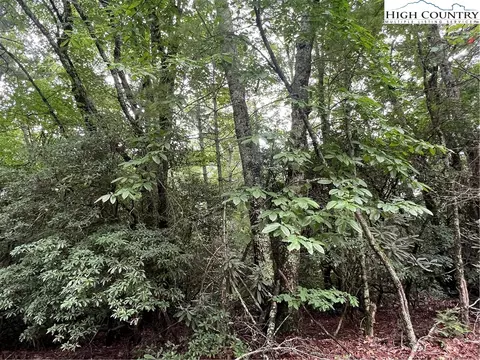 000 Wippercht Dr, Spruce Pine, NC 28777