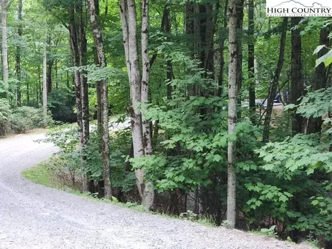 100 Ivy Ln, Beech Mountain, NC 28604 photo 3