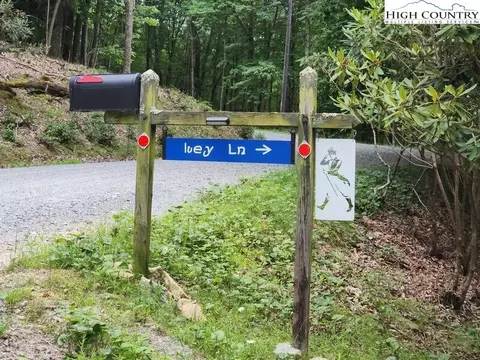 100 Ivy Ln, Beech Mountain, NC 28604