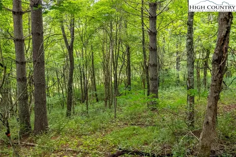 1 Sanctuary Dr, Crumpler, NC 28617 photo 9