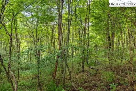 1 Sanctuary Dr, Crumpler, NC 28617 photo 4