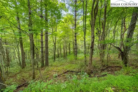 1 Sanctuary Dr, Crumpler, NC 28617 photo 3