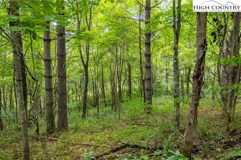1 Sanctuary Dr, Crumpler, NC 28617 photo 7