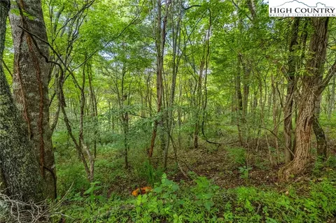 1 Sanctuary Dr, Crumpler, NC 28617 photo 10