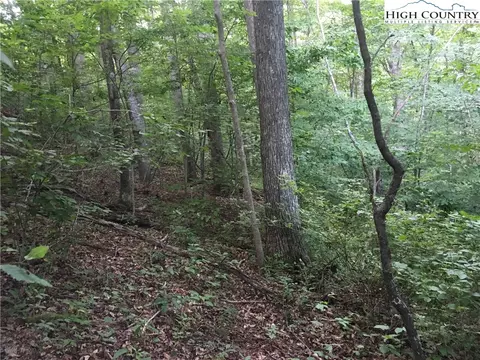 lot200 Falcon Ridge Dr, West Jefferson, NC 28694
