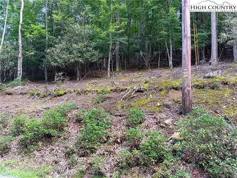 178 Rhododendron Rd, Beech Mountain, NC 28604