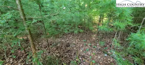lot8 Oak Tree Ln, Jefferson, NC 28640