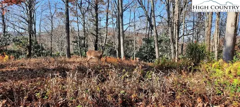 tbd Wildwood Pl, Blowing Rock, NC 28605
