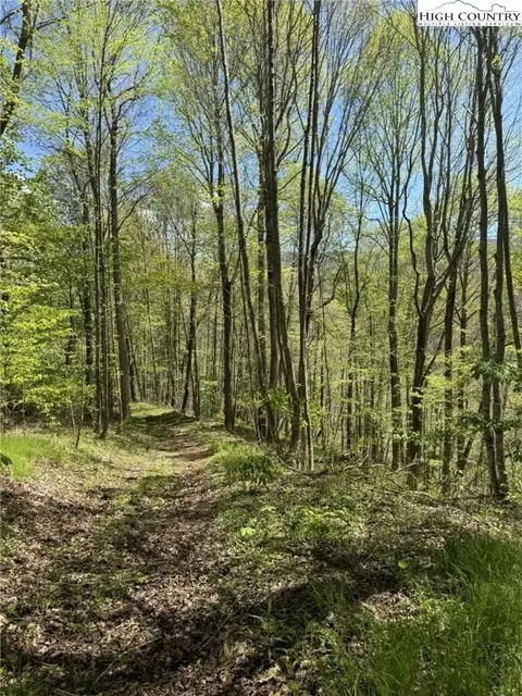 tbd Sutherland Rd, Creston, NC 28615 photo 3