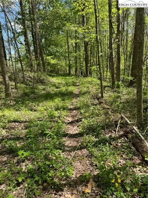 tbd Sutherland Rd, Creston, NC 28615 photo 13