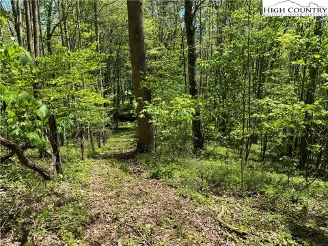 tbd Sutherland Rd, Creston, NC 28615