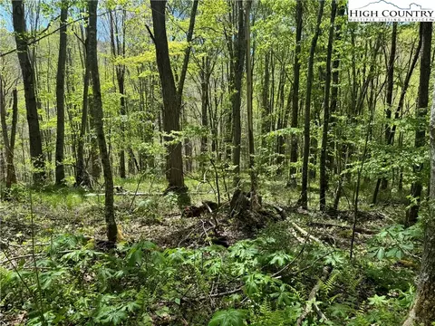 tbd Sutherland Rd, Creston, NC 28615 photo 6