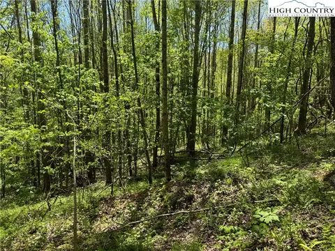 tbd Sutherland Rd, Creston, NC 28615 photo 8
