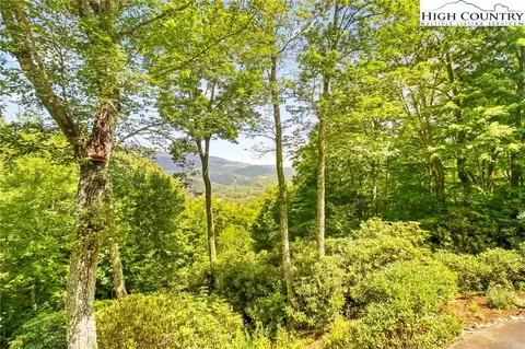 352 Wren Way, Banner Elk, NC 28604 photo 45