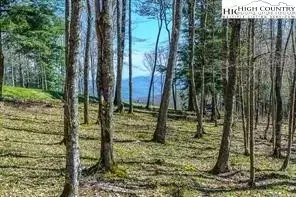 113 Eagle Park Dr, Banner Elk, NC 28604