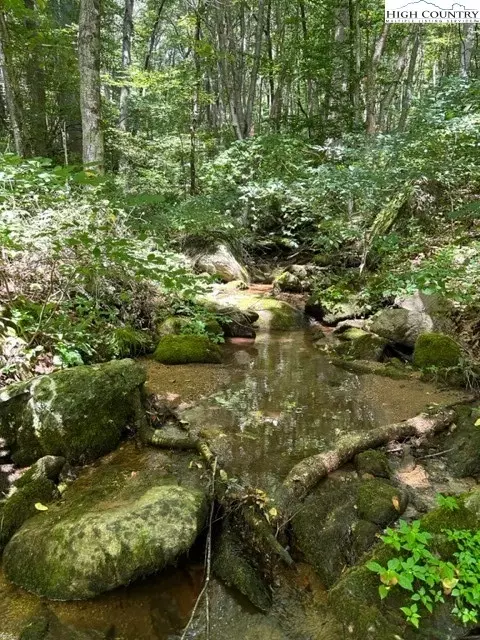 111 Point Lookout Ln, Independence, VA 24348