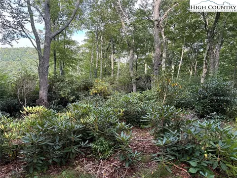 lot4 Fieldstone Hts Dr, Blowing Rock, NC 28605